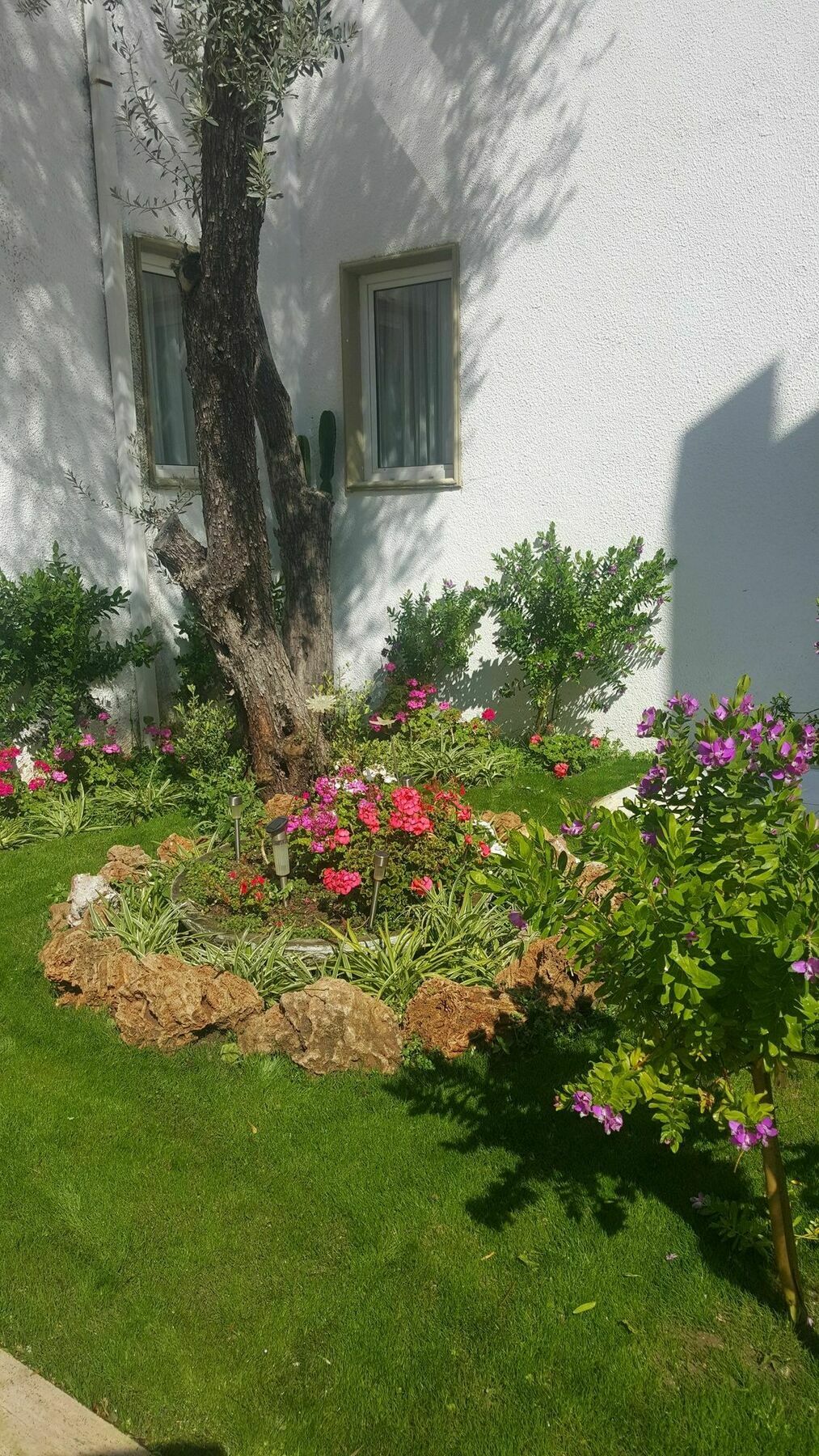 Hotel Princess Diltua Бодрум Экстерьер фото